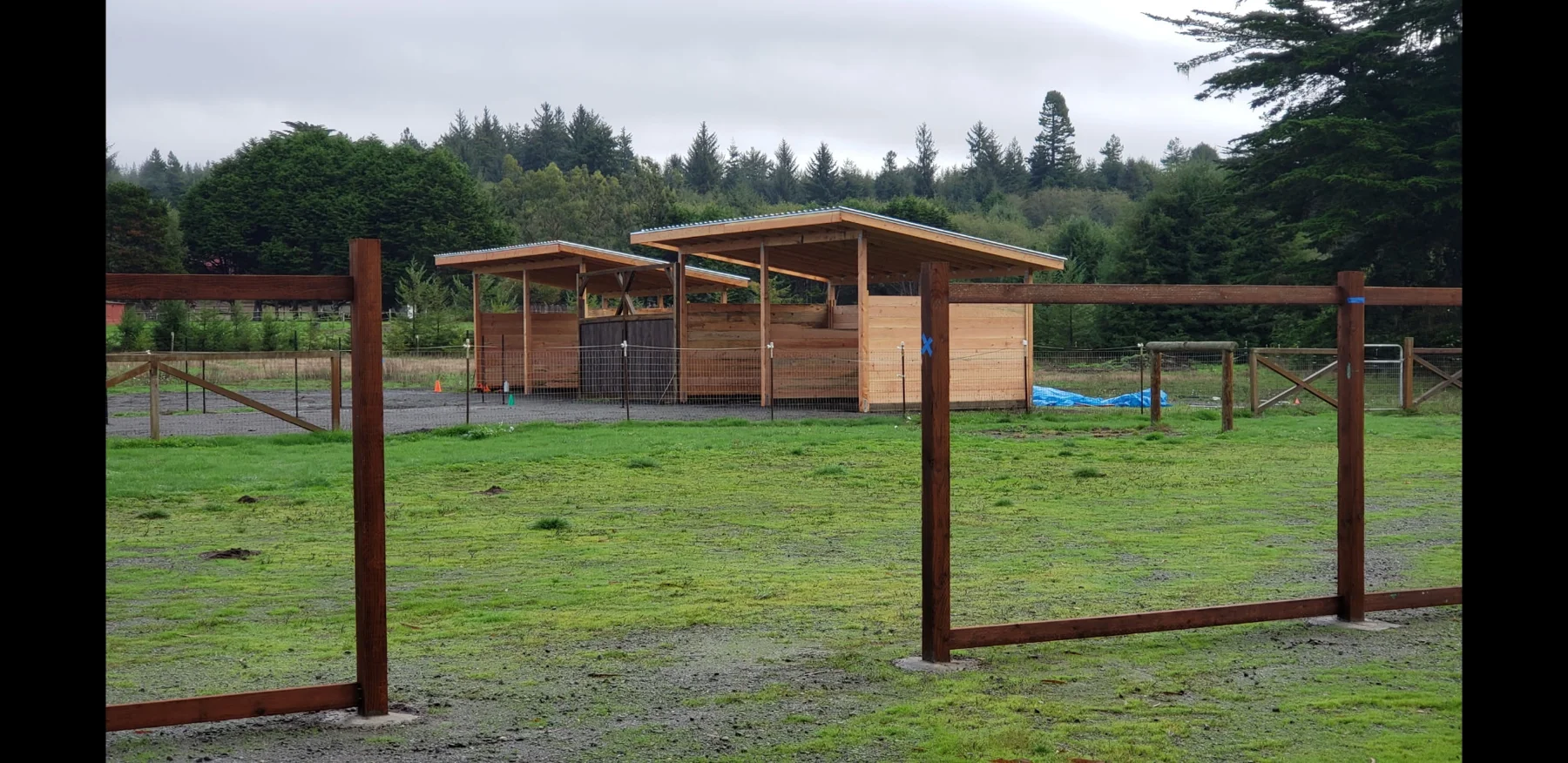 Timber shelter beside a green paddock