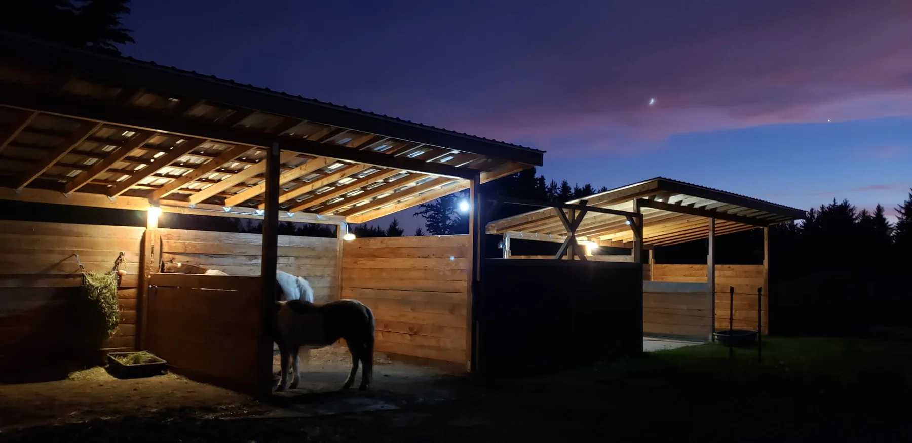 A horse beside a warmly lit timber shelter at dusk
