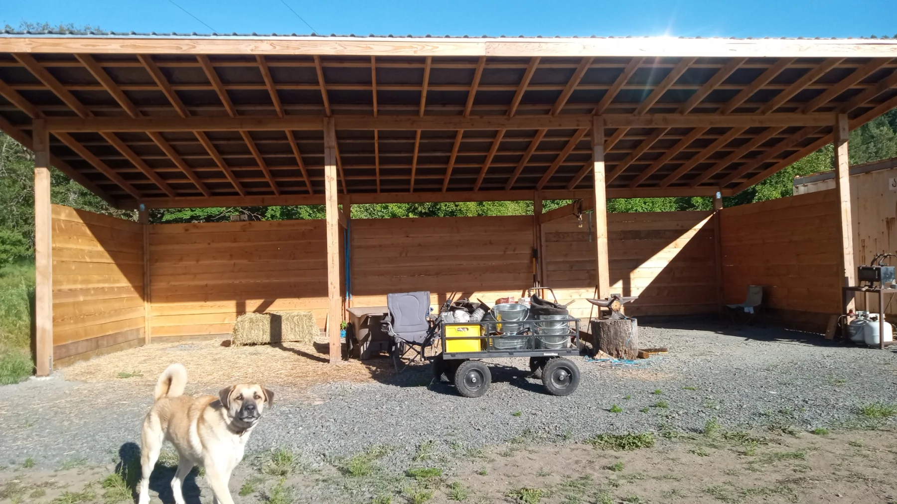 Front view of a timber shelter under construction